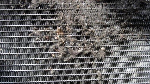 Overheating Car Radiator Problem Car Overheating Causes: Why Your Engine Overheats and How to Fix It ...